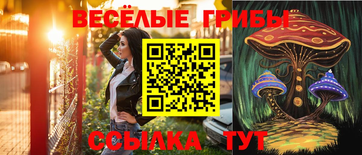 Галлюциногенные грибы Psilocybe  Псилоцибиновые грибы Magic Shrooms  Лиски  Вход с VPN 