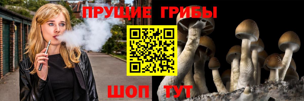 Псилоцибиновые грибы мухоморы Лиски